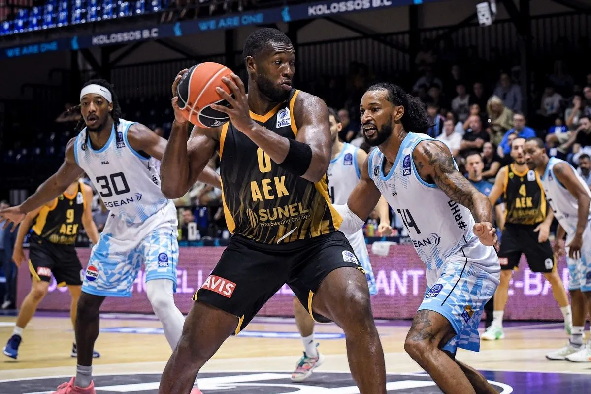 basket gray aek 01
