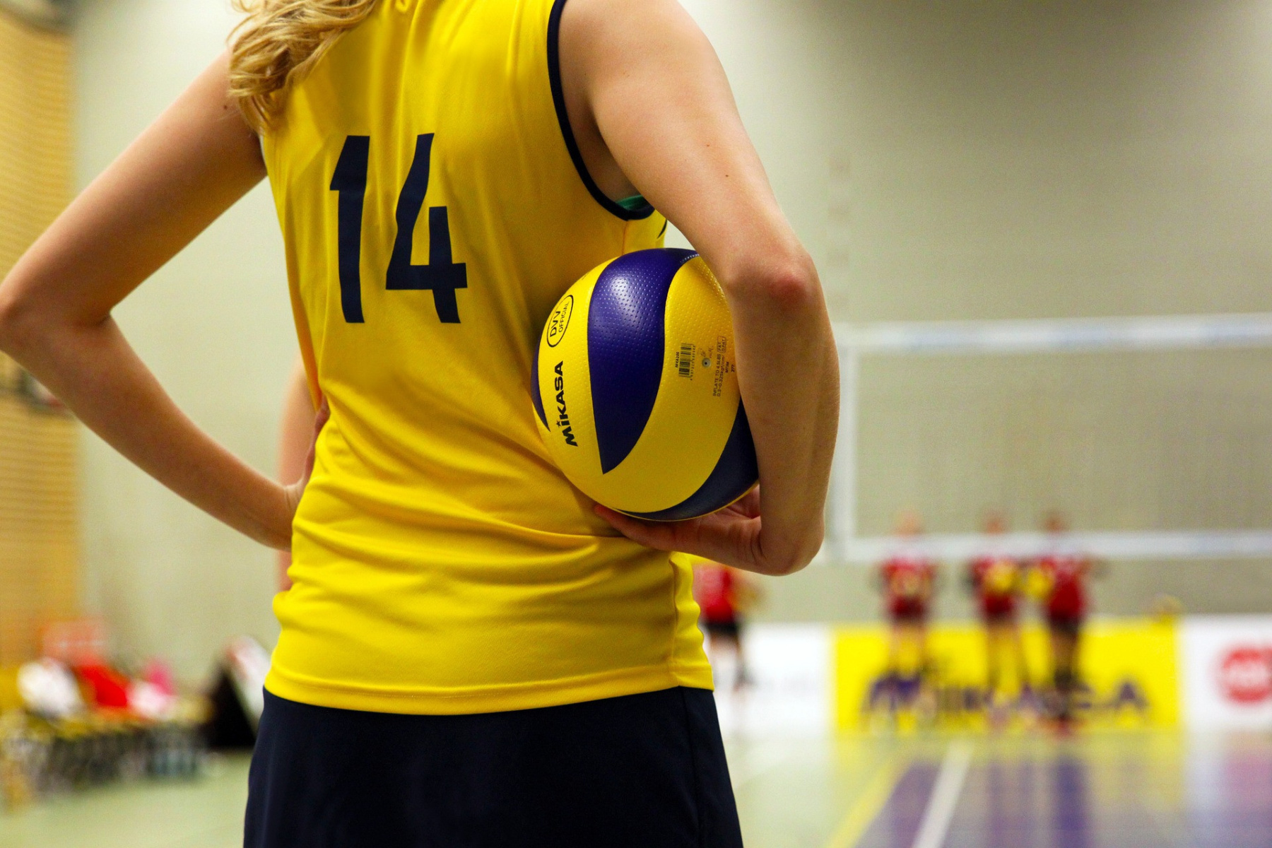 volley aek 60
